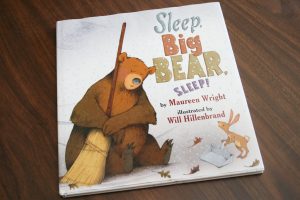 SleepBigBearSleep Cover