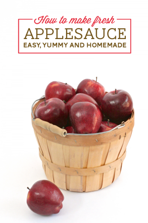 How To Make Your Own Applesauce #applesauce #recipe #fall