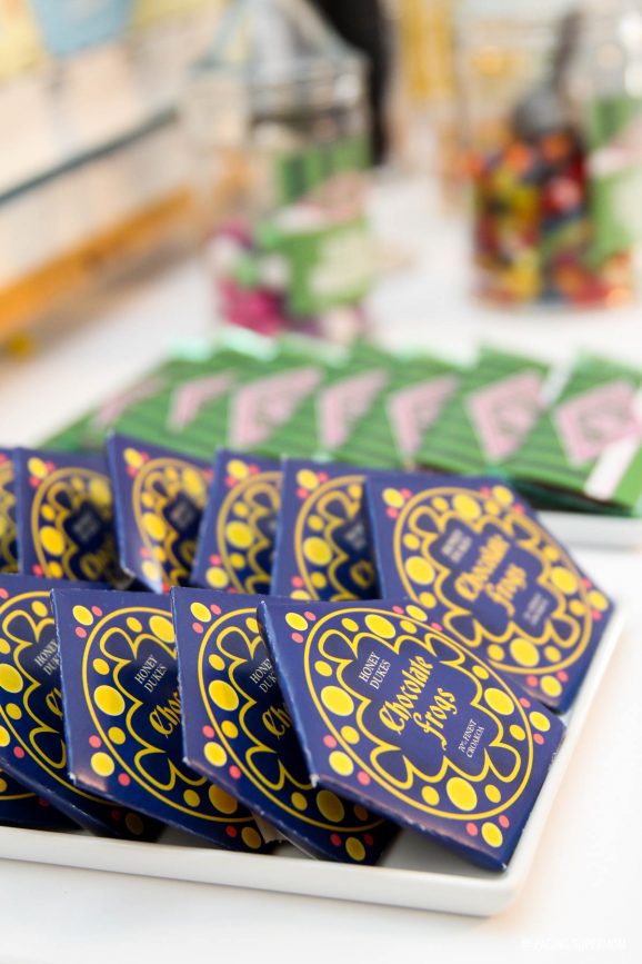 Make Harry Potter Chocolate Frogs - Free Honeydukes Frogs Packaging